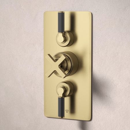 Bayor Dual Outlet Concealed Shower with Handshower Hook & 210mm Ceiling Arm with 8" Rose - Black Lever - Brushed Brass