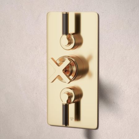 Bayor Dual Outlet Concealed Shower with Handshower Hook & 210mm Ceiling Arm with 8" Rose - Black Lever - Living Brass