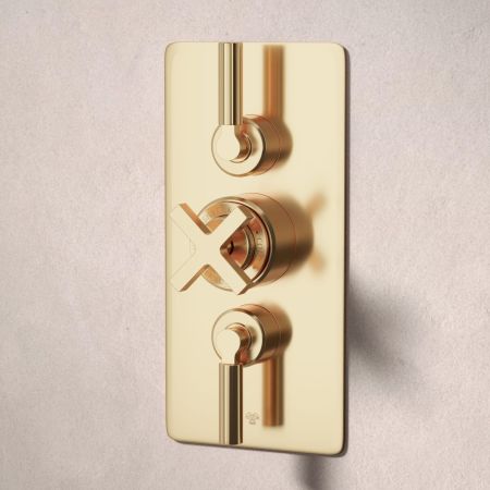 Bayor Dual Outlet Concealed Shower with Handshower Hook & 210mm Ceiling Arm with 8" Rose - Metal Lever - Living Brass