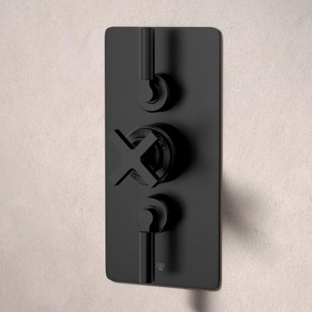 Bayor Dual Outlet Concealed Shower with Handshower Hook & 210mm Ceiling Arm with 8" Rose - Metal Lever - Matt Black