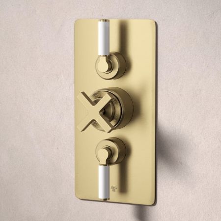 Bayor Dual Outlet Concealed Shower with Handshower Hook & 210mm Ceiling Arm with 8" Rose - White Lever - Brushed Brass
