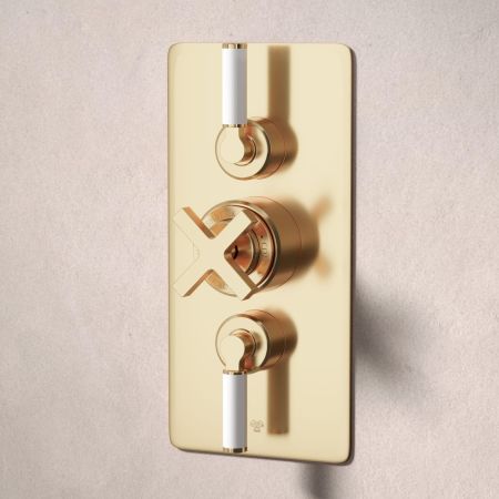 Bayor Dual Outlet Concealed Shower with Handshower Hook & 210mm Ceiling Arm with 8" Rose - White Lever - Living Brass