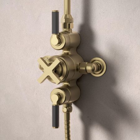 Bayor Dual Outlet Exposed Shower with Handshower Hook & 8" Rose - Black Lever - Brushed Brass