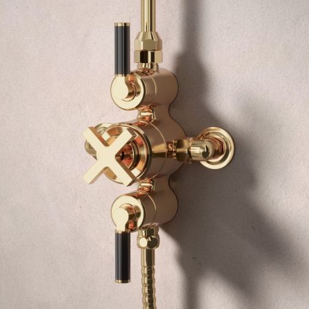 Bayor Dual Outlet Exposed Shower with Handshower Hook & 8" Rose - Black Lever - Living Brass