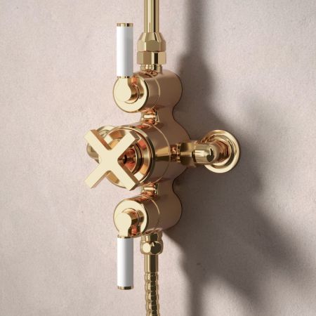 Bayor Dual Outlet Exposed Shower with Riser Mounted Handshower & 8" Rose - White Lever - Living Brass