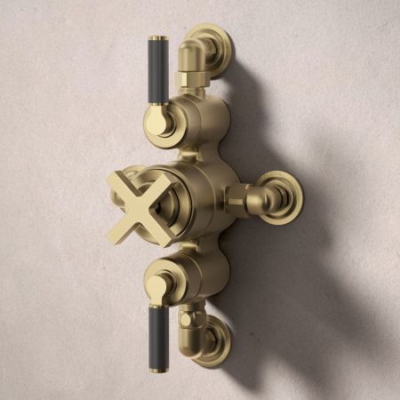 Bayor Dual Outlet Semi Exposed Shower with Handshower Hook & 210mm Ceiling Arm with 8" Rose - Black Lever - Brushed Brass