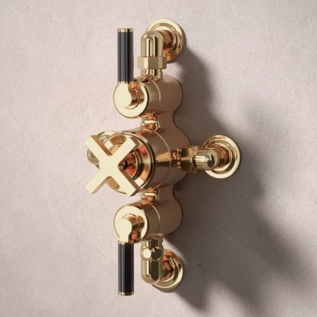 Bayor Dual Outlet Semi Exposed Shower with Handshower Hook & 210mm Ceiling Arm with 8" Rose - Black Lever - Living Brass