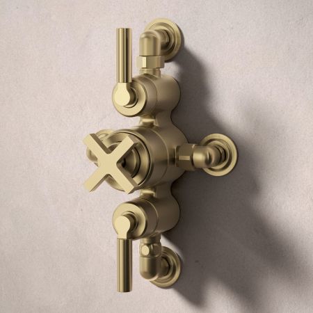 Bayor Dual Outlet Semi Exposed Shower with Handshower Hook & 210mm Ceiling Arm with 8" Rose - Metal Lever - Brushed Brass