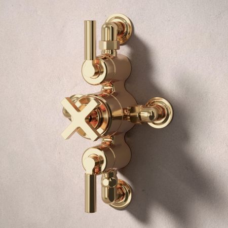 Bayor Dual Outlet Semi Exposed Shower with Handshower Hook & 210mm Ceiling Arm with 8" Rose - Metal Lever - Living Brass