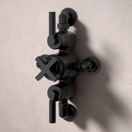 Bayor Dual Outlet Semi Exposed Shower with Handshower Hook & 210mm Ceiling Arm with 8" Rose - Metal Lever - Matt Black