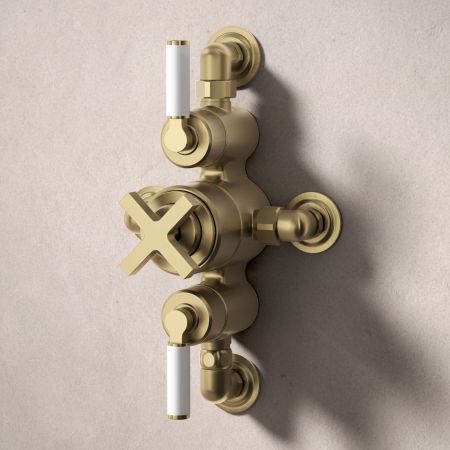 Bayor Dual Outlet Semi Exposed Shower with Handshower Hook & 210mm Ceiling Arm with 8" Rose - White Lever - Brushed Brass