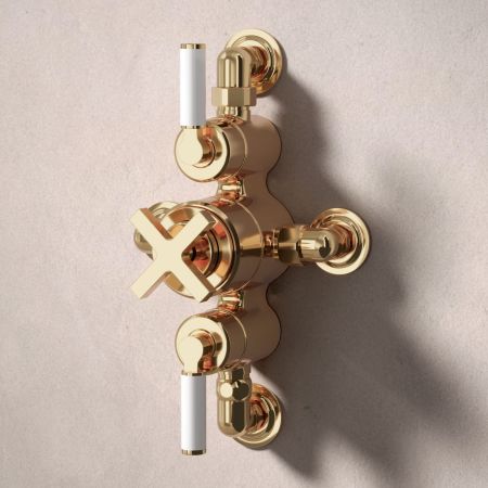 Bayor Dual Outlet Semi Exposed Shower with Slider Rail & 300mm Wall Arm with 8" Rose - White Lever - Living Brass