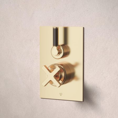 Bayor Single Outler Concealed Shower with 210mm Ceiling Arm & 8" Rose - Black Lever - Living Brass