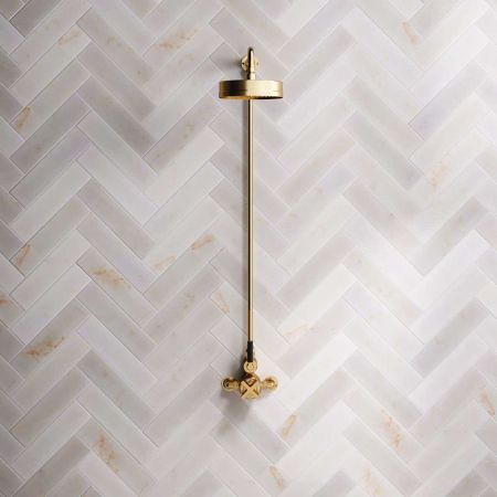 Bayor Single Outlet Exposed Shower with 8" Rose & Black Levers in Brushed Brass