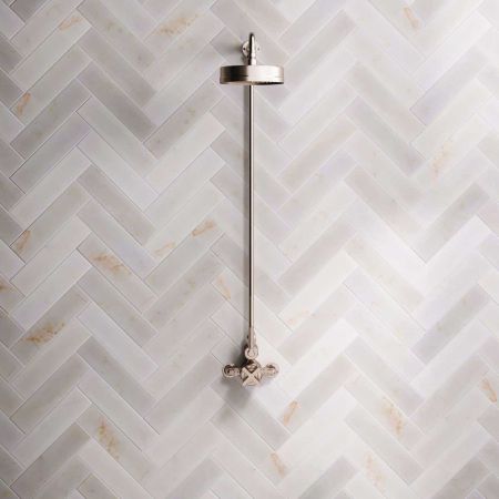 Bayor Single Outlet Exposed Shower with 8" Rose & Metal Levers in Brushed Nickel