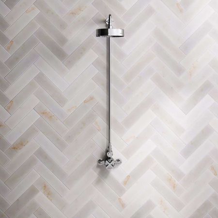 Bayor Single Outlet Exposed Shower with 8" Rose & Metal Levers in Chrome