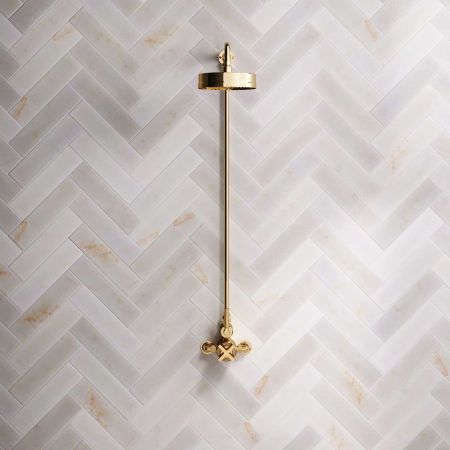 Bayor Single Outlet Exposed Shower with 8" Rose & Metal Levers in Living Brass