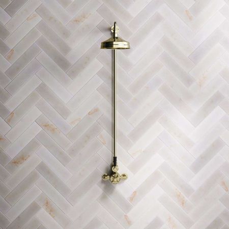 Linton Single Outlet Exposed Shower with 8" Rose & Black Levers in Timeless Brass