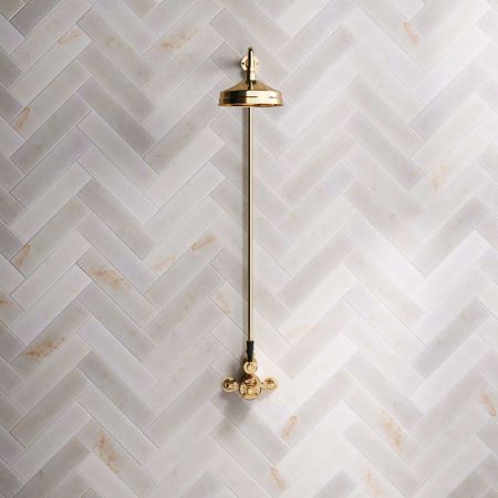 Linton Single Outlet Exposed Shower with 8" Rose & Black Levers in Living Brass