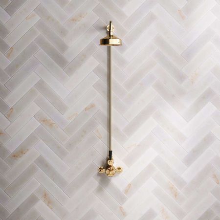 Linton Single Outlet Exposed Shower with 6" Rose & Black Levers in Living Brass