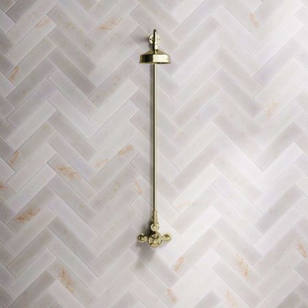 Linton Single Outlet Exposed Shower with 6" Rose & Metal Levers in Timeless Brass
