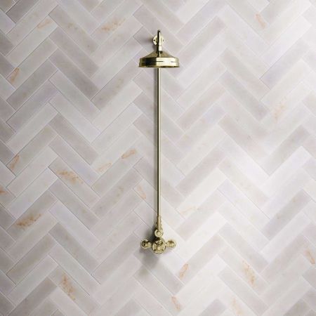 Linton Single Outlet Exposed Shower with 8" Rose & Metal Levers in Timeless Brass