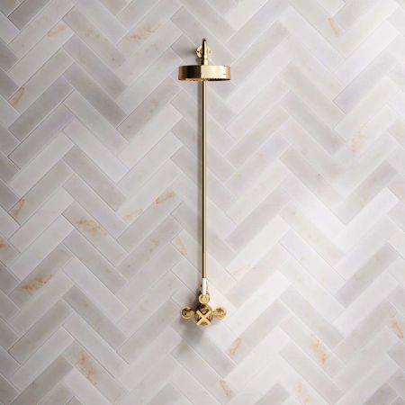 Bayor Single Outlet Exposed Shower with 8" Rose & White Levers in Living Brass