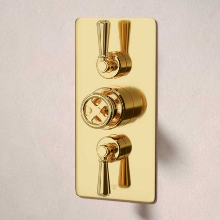 Klee Dual Outlet Concealed Shower with Slider Rail, 500mm Wall Arm & 8" Rose - Metal Lever - Living Brass