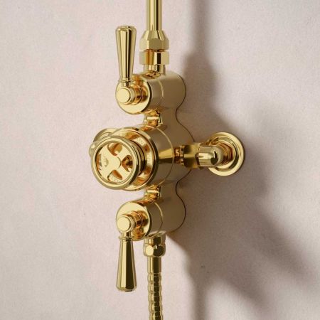Klee Dual Outlet Exposed Shower with Rigid Riser, Slider Rail & 8" Rose - Metal Lever - Living Brass