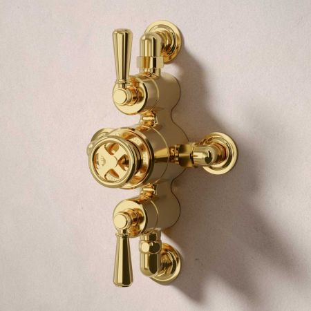 Klee Dual Outlet Semi Exposed Shower with Hook Mount, 300mm Wall Arm & 8" Rose - Metal Lever - Living Brass