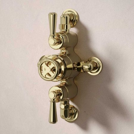 Klee Dual Outlet Semi Exposed Shower with Hook Mount, 300mm Wall Arm & 8" Rose - Metal Lever - Timeless Brass
