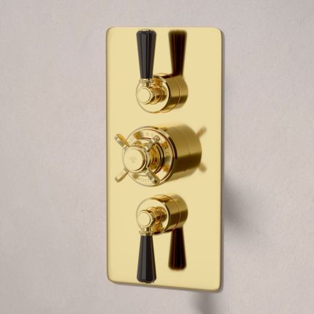 Calder Dual Outlet Shower Kit - Concealed Valve - 6 inch Rose - Black Ceramic Lever - Handshower Hook - Living Brass
