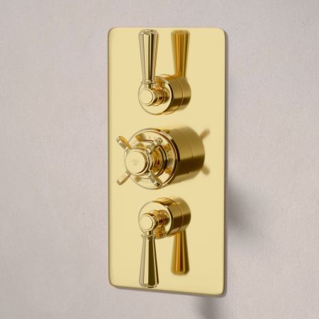 Calder Dual Outlet Shower Kit - Concealed Valve - 6 inch Rose - Metal Lever - Handshower Hook - Ceiling Mounted Rose - Living Brass