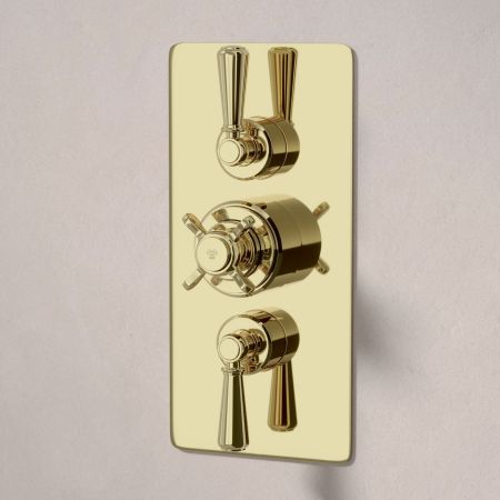 Calder Dual Outlet Shower Kit - Concealed Valve - 8 inch Rose - 500mm Shower Arm - Metal Lever - Handshower Hook - Timeless Brass