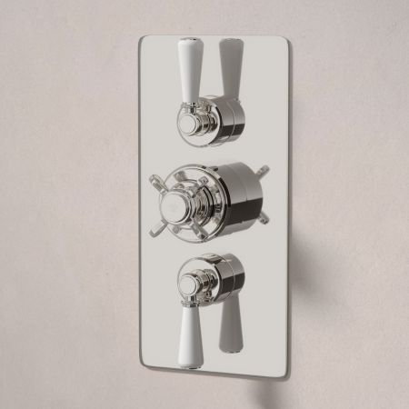 Linton Dual Outlet Concealed Shower with Handshower Hook, 500mm Wall Arm & 8" Rose - White Lever - Polished Nickel