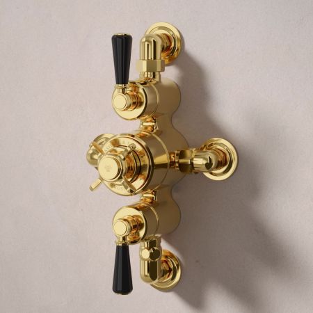 Calder Dual Outlet Shower Kit - Semi-Exposed Valve - 6 inch Rose - Black Ceramic Lever - Handshower Hook - Ceiling Mounted Rose - Living Brass