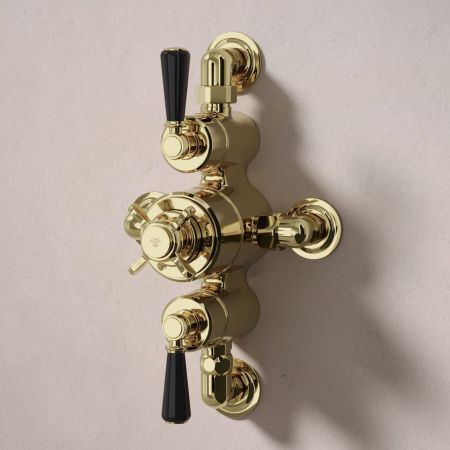 Calder Dual Outlet Shower Kit - Semi-Exposed Valve - 8 inch Rose - Black Ceramic Lever - Handshower Slider-Rail - Timeless Brass