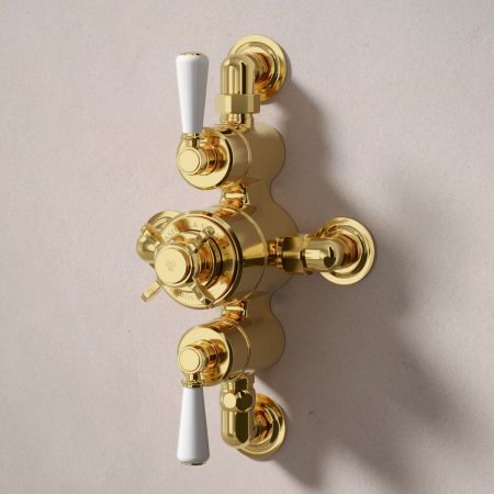 Calder Dual Outlet Shower Kit - Semi-Exposed Valve - 6 inch Rose - White Ceramic Lever - Handshower Hook - Ceiling Mounted Rose - Living Brass