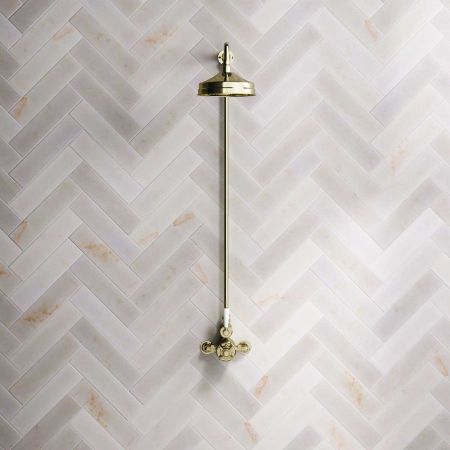 Linton Single Outlet Exposed Shower with 6" Rose & White Levers in Timeless Brass