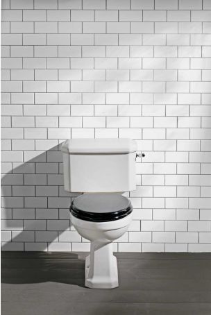 The Cast Iron Bath Company Tamar Close Coupled White Lever Toilet