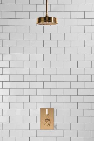 Elbe - Concealed Shower Set - White Lever - 8" Rose - Ceiling Mounted Rose - Polished Brass