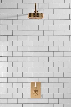 Elbe - Concealed Shower Set - White Lever - 8" Rose - Polished Brass