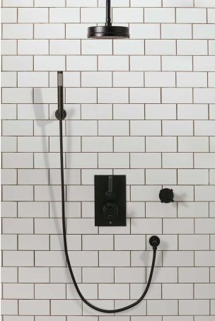 Elbe - Concealed Shower Set + Diverter - Hook Mount - Metal Lever/X-Top - 8" Rose - Ceiling Mounted Rose - Matt Black