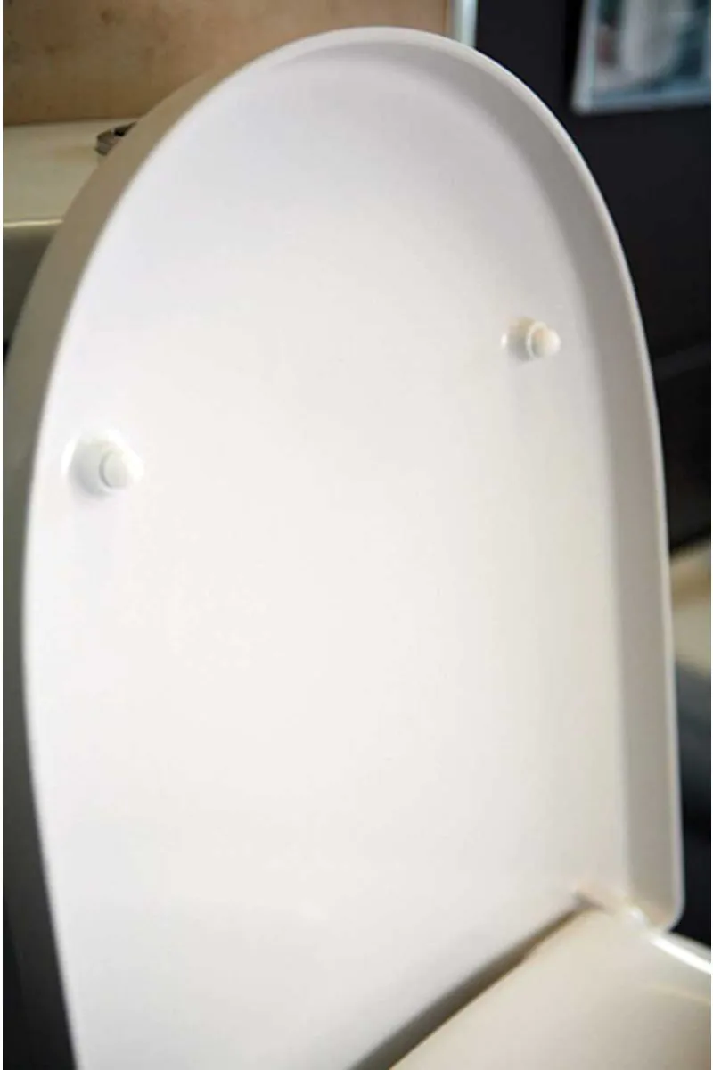 Silverdale White Acrylic Toilet Seat With White Soft Close Hinge