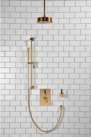Elbe - Concealed Shower Set + Diverter - Black Lever/Black Lever - 8" Rose - Ceiling Mounted Rose - Polished Brass