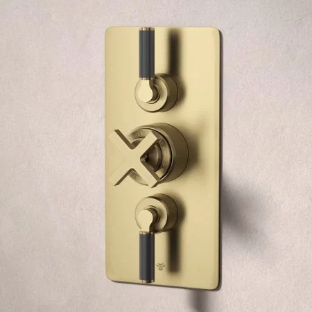 Bayor Dual Outlet Concealed Shower with Handheld Shower Hook & 500mm Wall Arm with 8" Rose - Black Lever - Brushed Brass