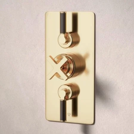 Bayor Dual Outlet Concealed Shower with Handheld Shower Hook & 210mm Ceiling Arm with 8" Rose - Black Lever - Living Brass