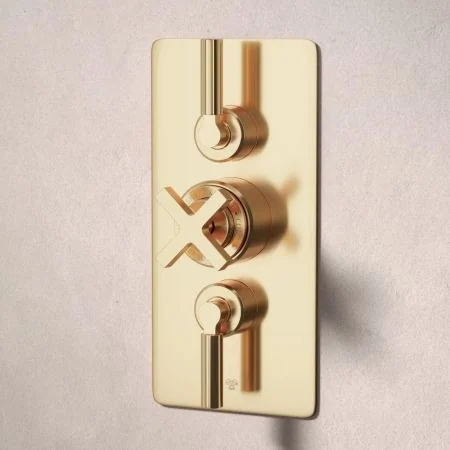 Bayor Dual Outlet Concealed Shower with Handheld Shower Hook & 210mm Ceiling Arm with 8" Rose - Metal Lever - Living Brass