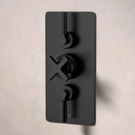 Bayor Dual Outlet Concealed Shower with Handheld Shower Hook & 210mm Ceiling Arm with 8" Rose - Metal Lever - Matt Black