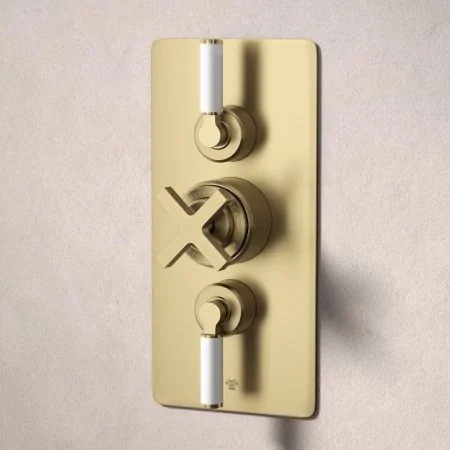 Bayor Dual Outlet Concealed Shower with Handheld Shower Hook & 210mm Ceiling Arm with 8" Rose - White Lever - Brushed Brass